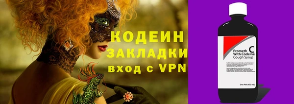 крисы Ростов