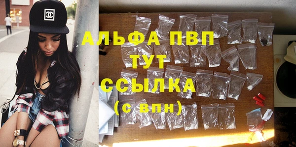 спиды Алзамай