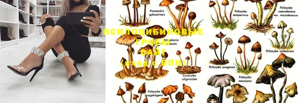спиды Алзамай